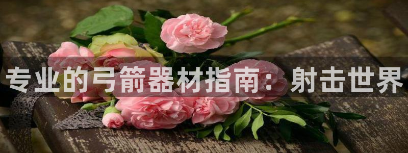 星欧娱乐游戏官网：专业的弓箭器材指南：射击世界