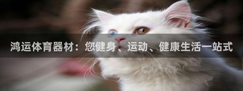 星欧娱乐扣款时间查询方法是什么
