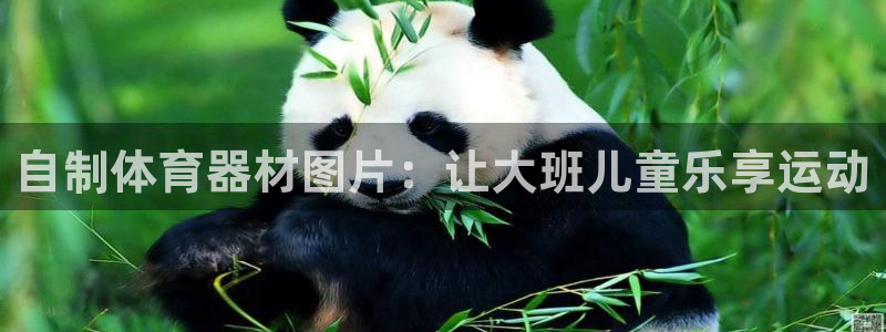 永韬星娱乐：自制体育器材图片：让大班儿童乐享运动