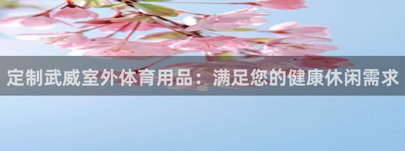 星欧娱乐公司怎么样：定制武威室外体育用品：满足您的健