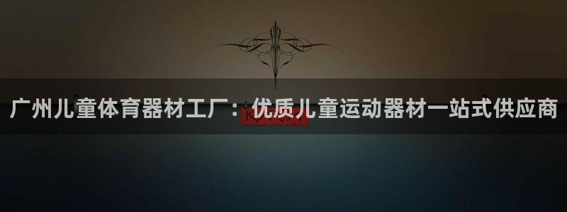 星欧娱乐公司：广州儿童体育器材工厂：优质儿童运动器材