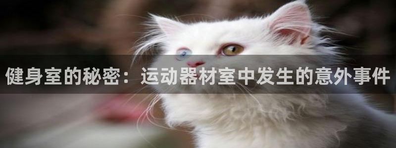 星欧娱乐法最新进展：健身室的秘密：运动器材室中发生的