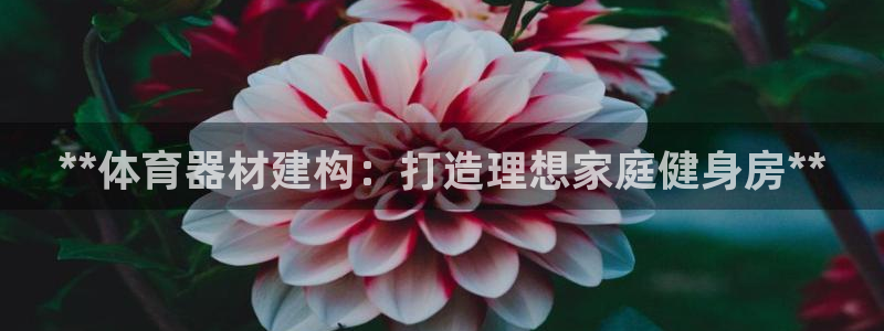 星欧娱乐平台测速线路怎么设置