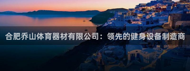 欧亿测速娱乐：合肥乔山体育器材有限公司：领先的健身设