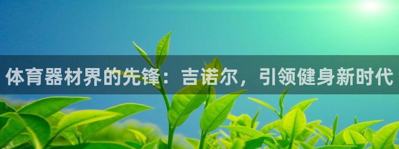 星欧娱乐扣款时间查询方法怎么查：体育器材界的先锋：吉