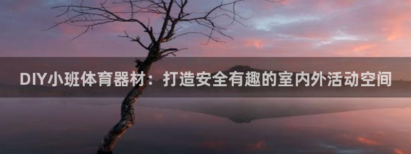 星欧娱乐公司创始人背景故事是什么：DIY小班体育器材