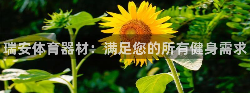 星欧娱乐扣款流程详解视频教程：瑞安体育器材：满足您的