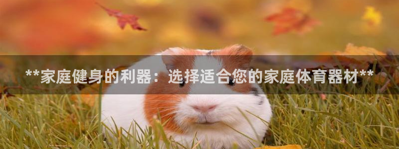星欧娱乐工711.112扣费通知：**家庭健身的利器