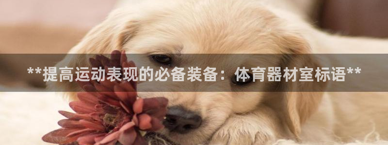 星欧娱乐属于什么档次的公司名称