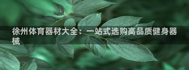 星欧娱乐挂机教程