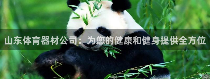 星欧娱乐是正规平台吗知乎：山东体育器材公司：为您的健