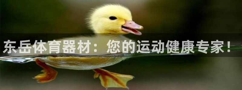 星欧娱乐平台测速线路怎么设置：东岳体育器材：您的运动