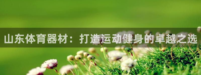 星欧娱乐联4.8.5.6.2.4.3下载：山东体育器