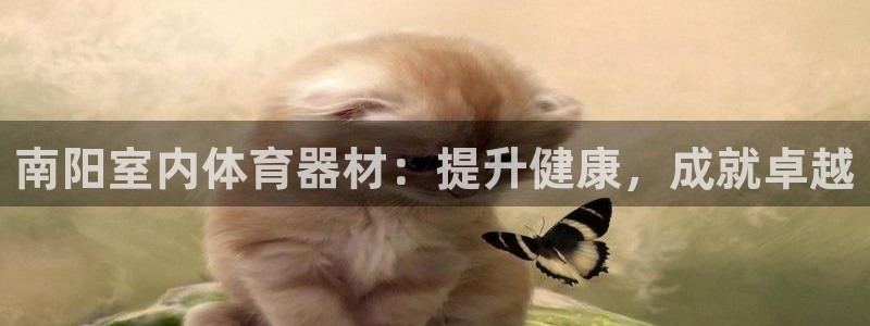 星娱乐彩票网：南阳室内体育器材：提升健康，成就卓越