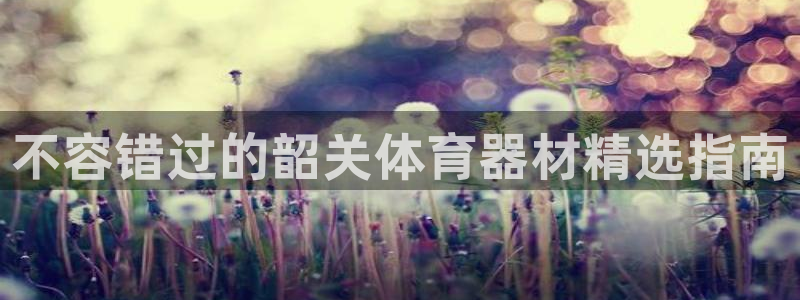 江苏星奥娱乐有限公司出过哪些艺人：不容错过的韶关体育