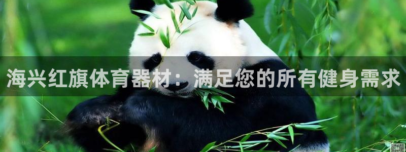 星欧娱乐挂机赚钱是真的吗：海兴红旗体育器材：满足您的