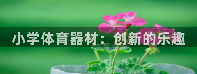 星欧娱乐载711.112使用教程详解