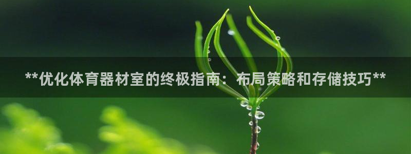 星欧娱乐挂机赚钱软件：**优化体育器材室的终极指南：布局策略