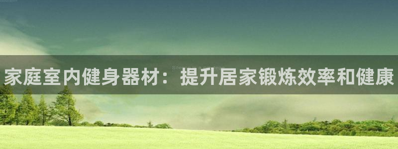 星欧娱乐公司怎么样：家庭室内健身器材：提升居家锻炼效率和健康