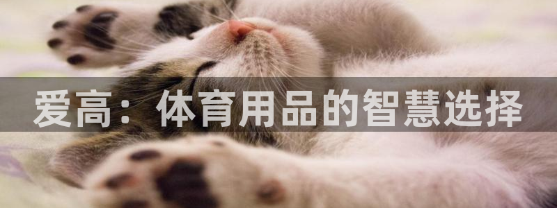 星欧娱乐扣款流程详解图片大全