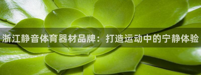 星欧娱乐平台告7O777：浙江静音体育器材品牌：打造运动中的