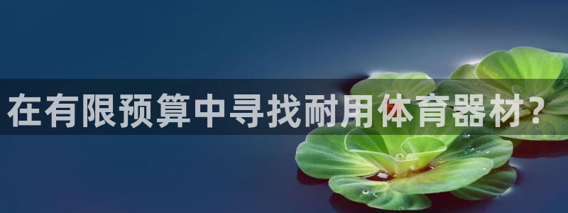 江苏星奥娱乐有限公司怎么样：在有限预算中寻找耐用体育器材？