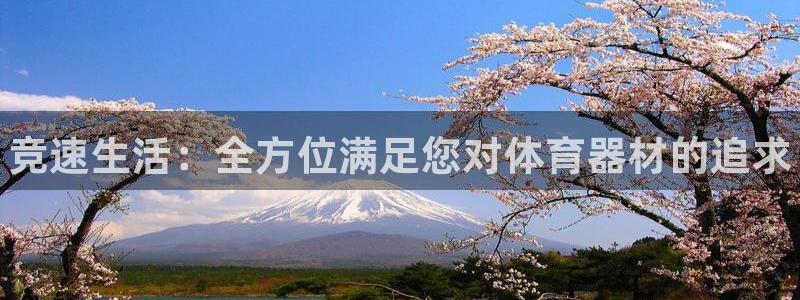 星欧娱乐平台测速线路设置