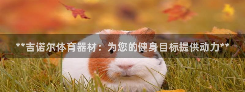 星奥娱乐集团股份有限公司招聘：**吉诺尔体育器材：为