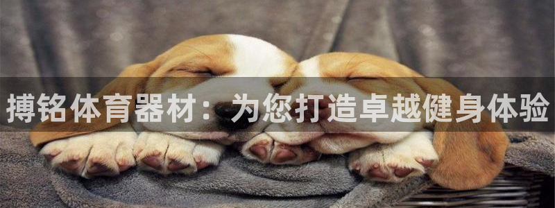 星奥娱乐集团：搏铭体育器材：为您打造卓越健身体验