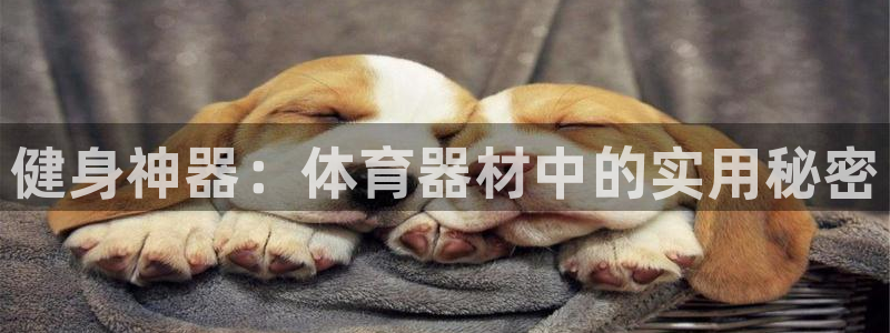 星欧娱乐扣款时间查询方法：健身神器：体育器材中的实用秘密