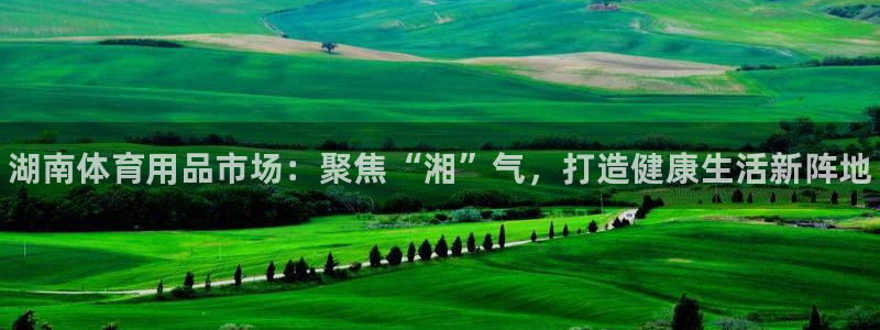 江苏星奥娱乐：湖南体育用品市场：聚焦“湘”气，打造健康生活新